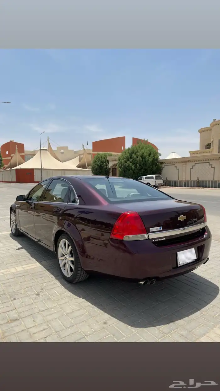 كابرس 15 عنابي 7