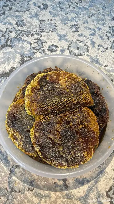 عسل سمرا 0