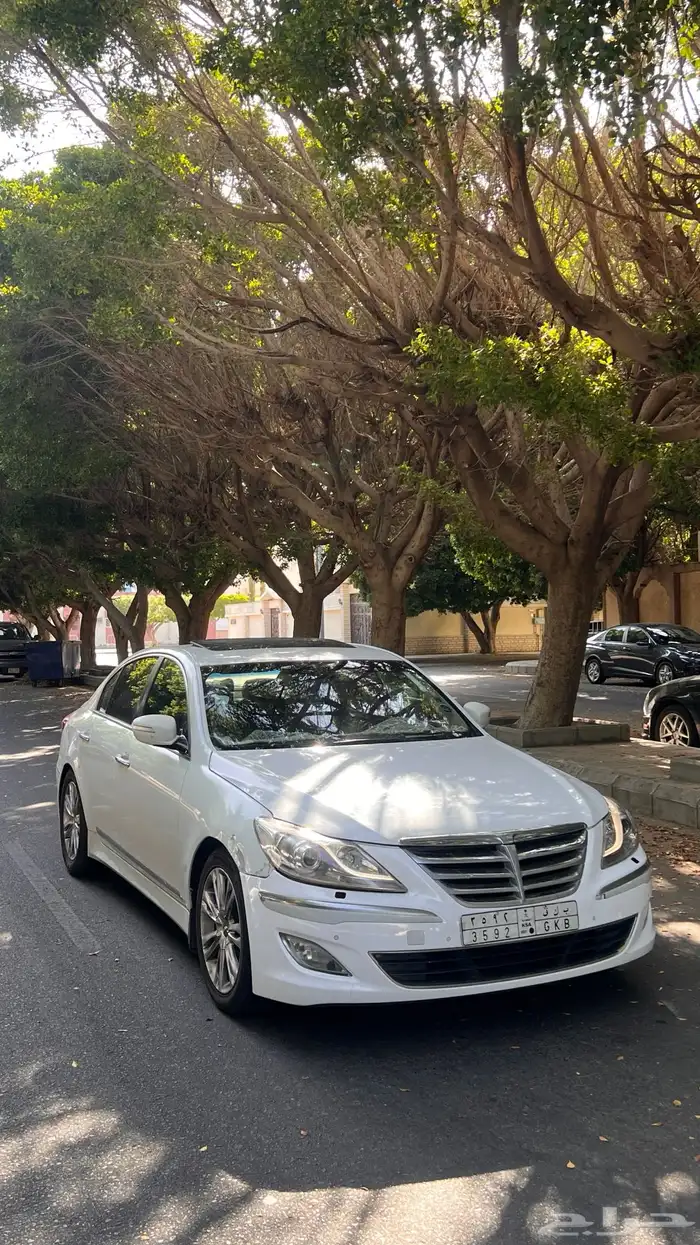 الطائف 2