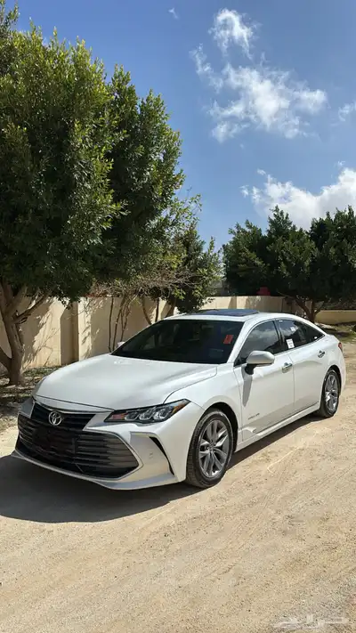 افالون 2019 تورنق 0