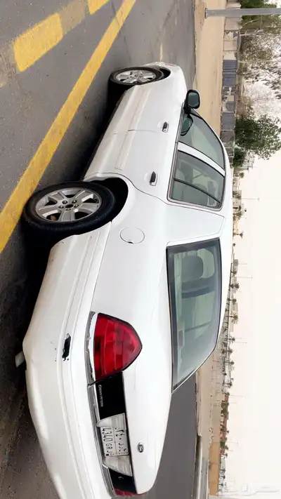 فوود سعودي 2010 4