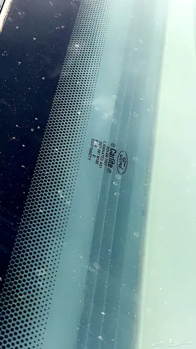 فوود سعودي 2010 8