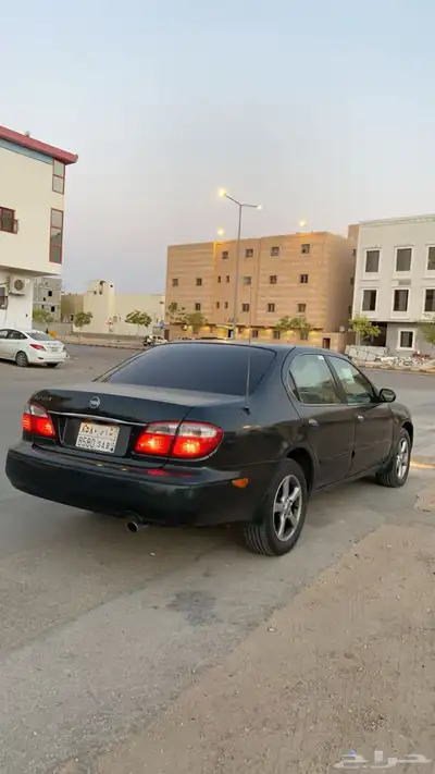 مكسيما 2004 0
