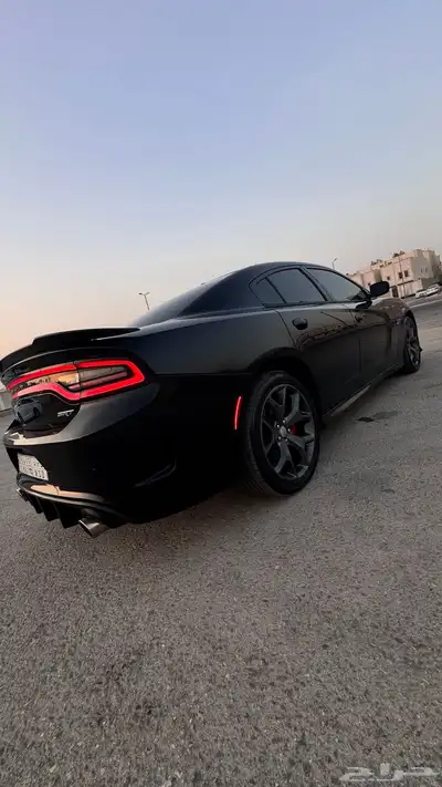دوج تشاجر 2018 16