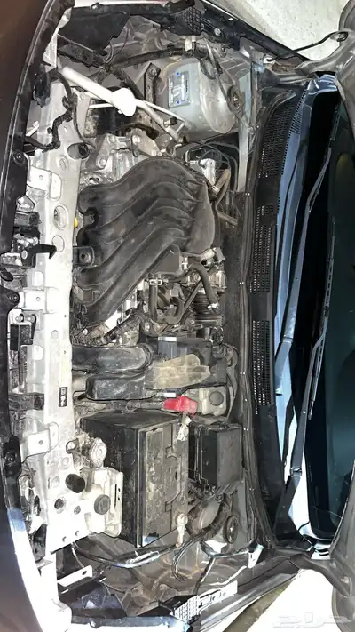 صني 2019 4