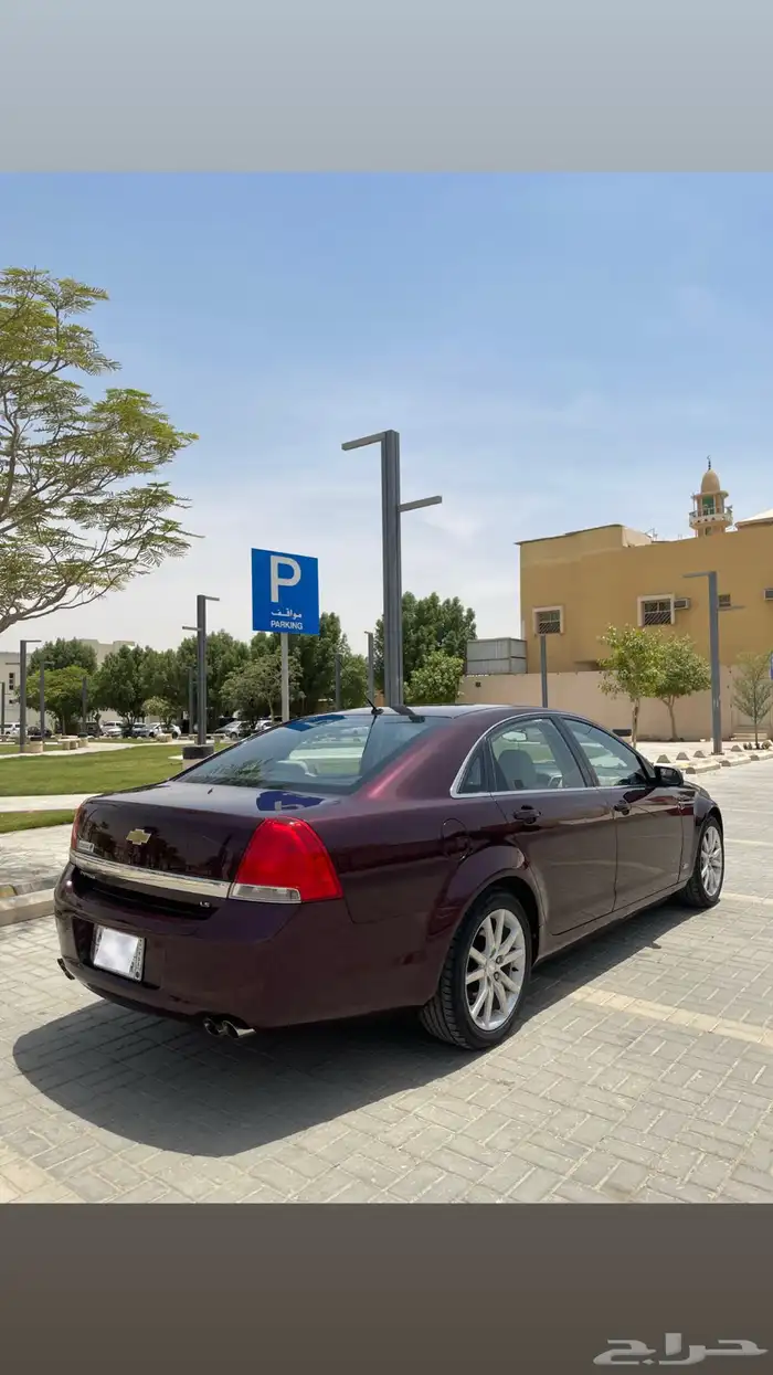 كابرس 15 عنابي 4