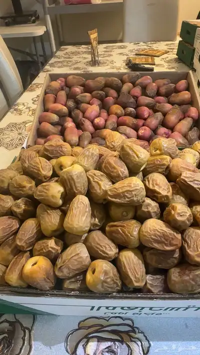 سكري للبيع 0