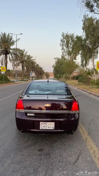 كابرس 2014 عنابي 6