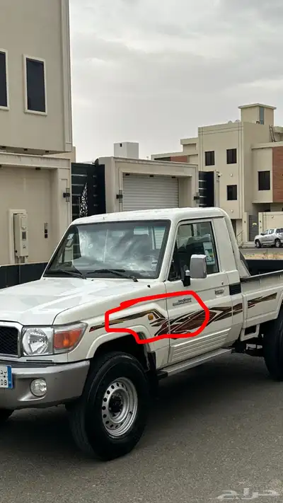 شاص 31