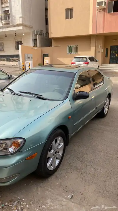 مكسيما 2003 14