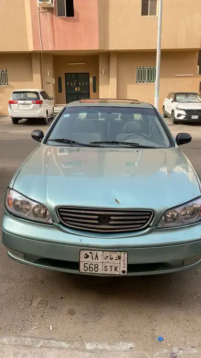 مكسيما 2003 15