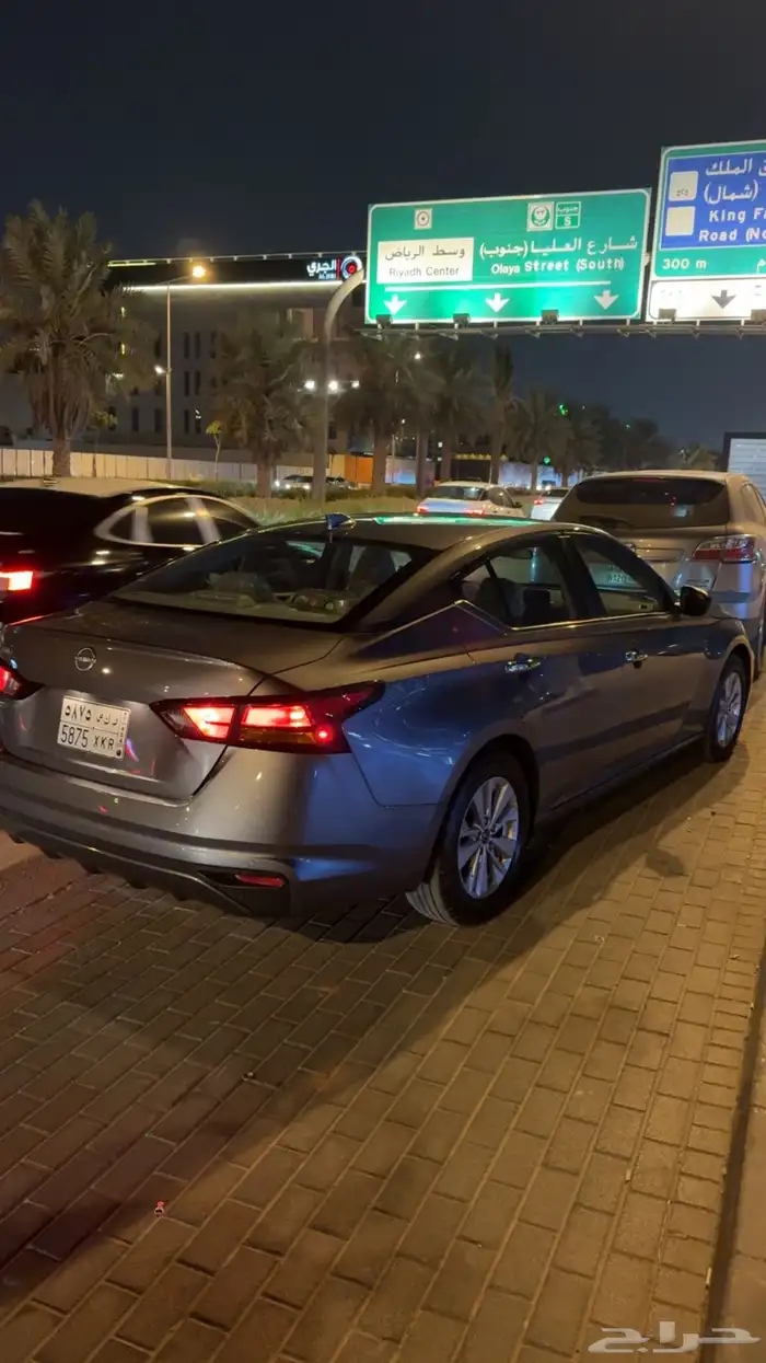 التيماء 2024 1