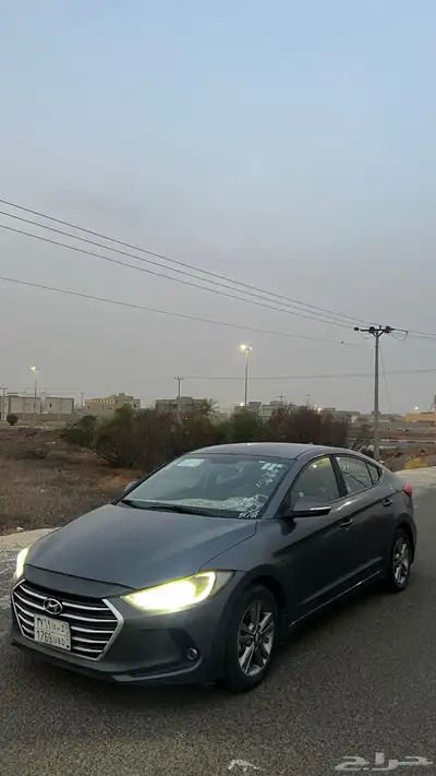 النترا 2017 نص فل 15