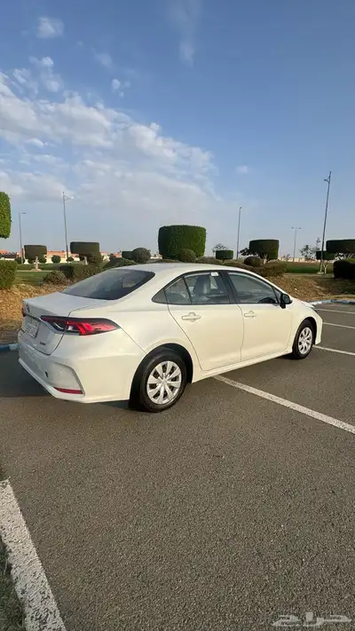 كورلا 2021 وارد عبداللطيف جميل 1