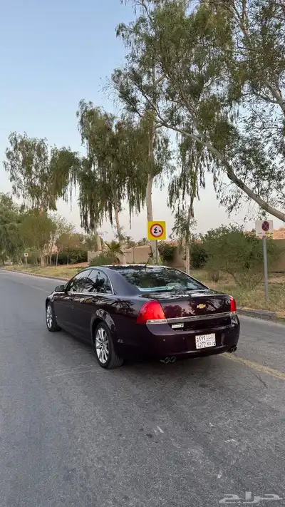 كابرس 2014 عنابي 1
