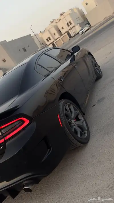 دوج تشاجر 2018 4