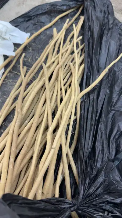 سواك ابوحنش 2
