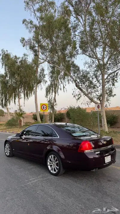 كابرس 2014 عنابي 0