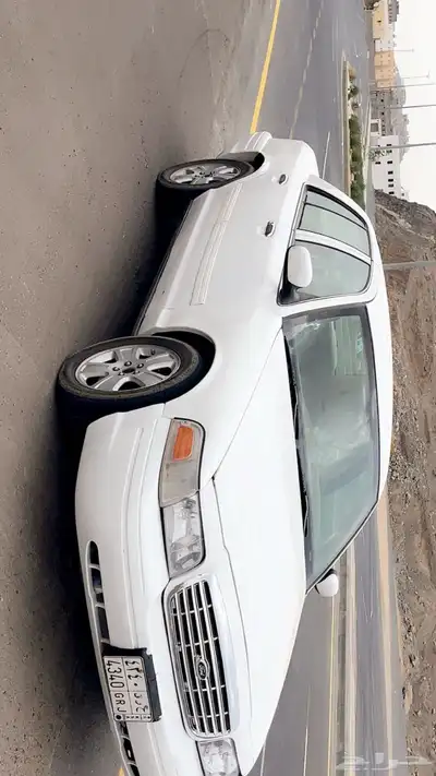 فوود سعودي 2010 3