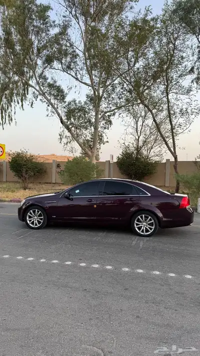 كابرس 2014 عنابي 3