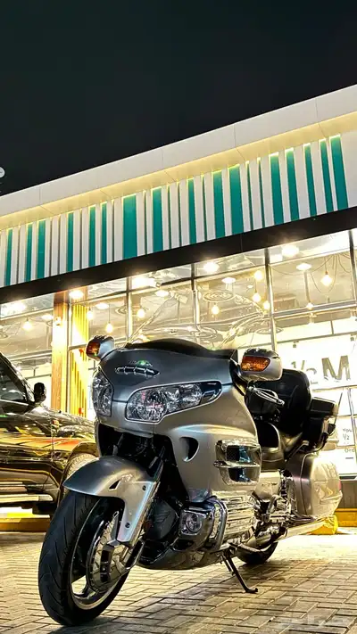 قولد ونق2008 Level 3 3