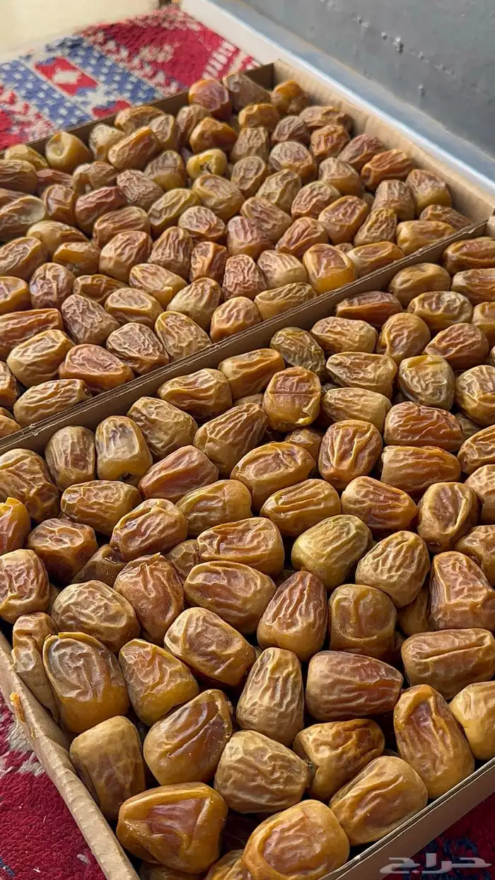 تمر سكري مفتل حبه طيبه وخراف جديد 0