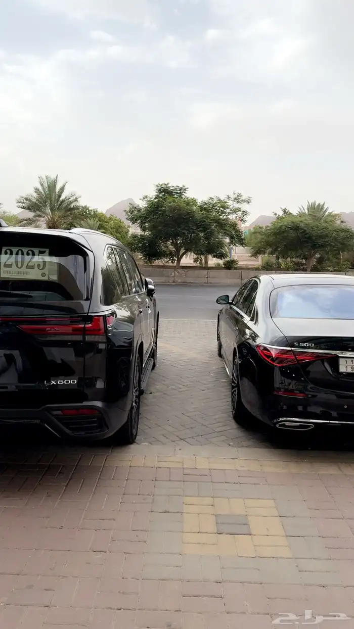 شركه مراكب العز لتاجير السيارات الفارهه 2