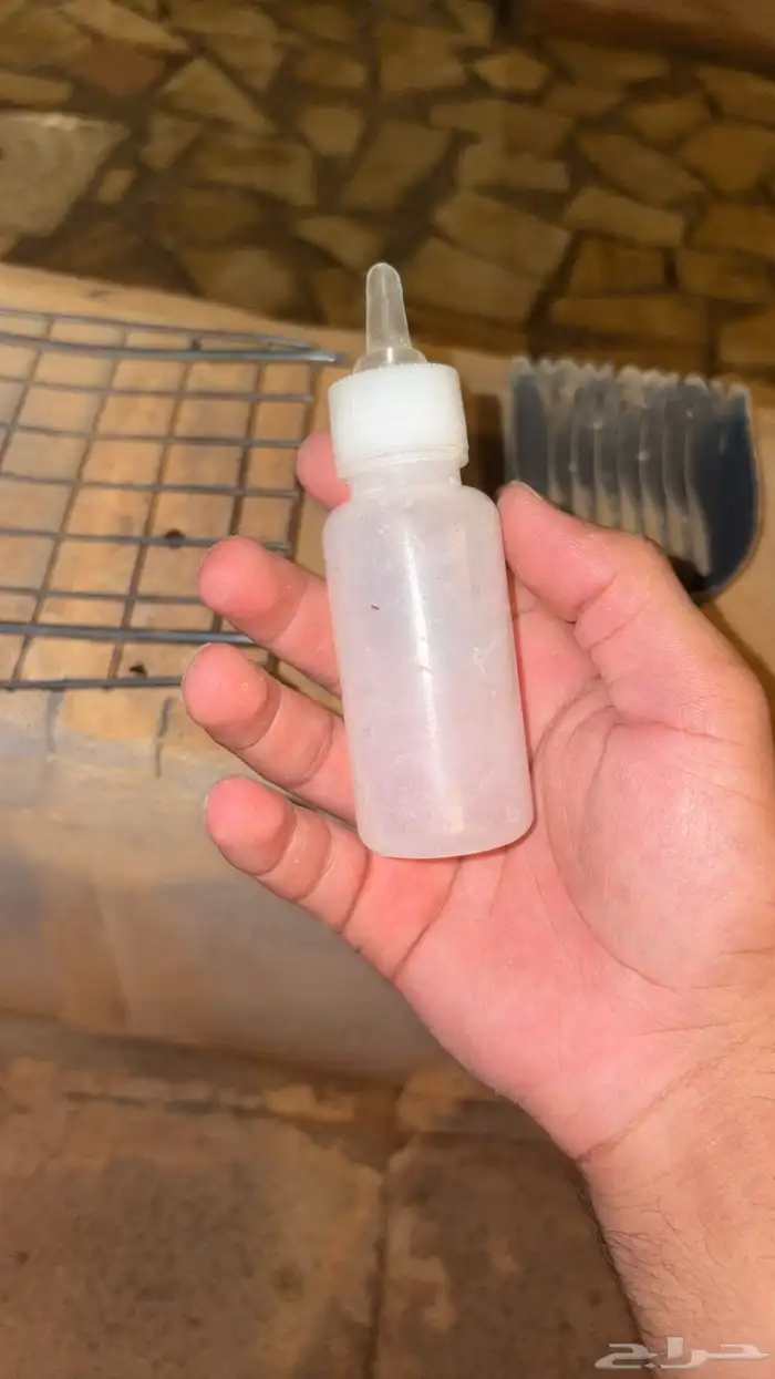 اغراض قطط 5