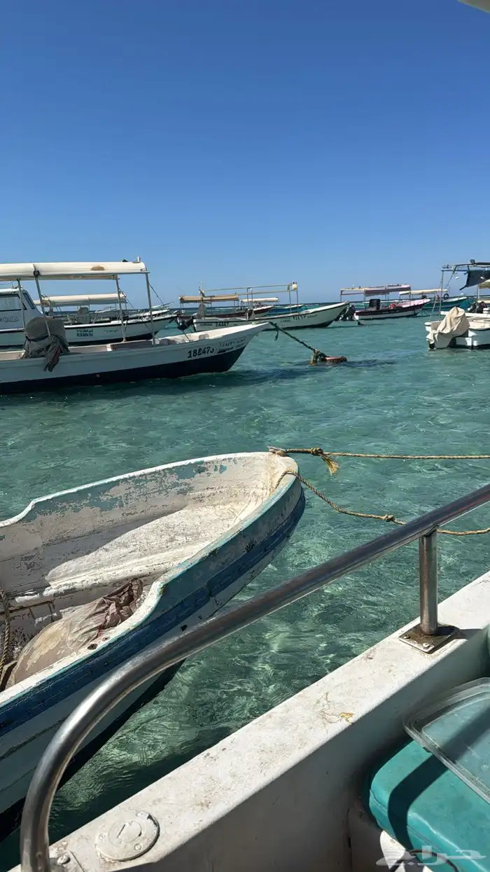 مطلوب بوت قارب للبيع يكون جنوب جده 0