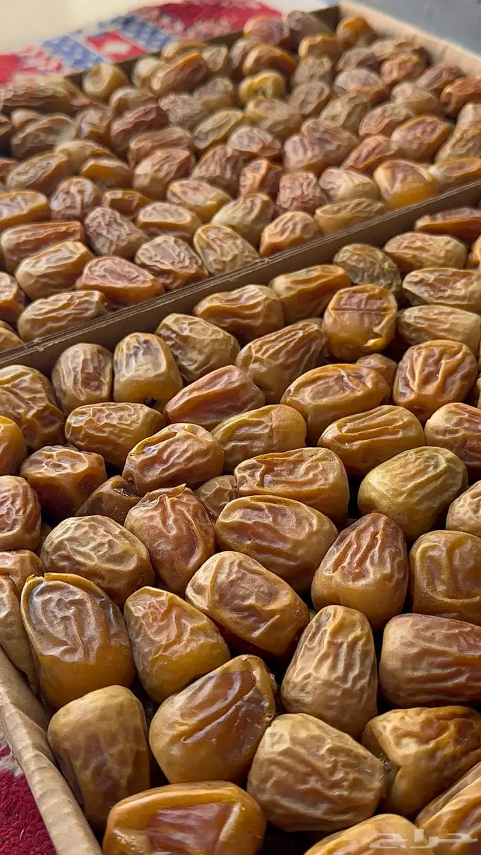 تمر سكري مفتل حبه طيبه وخراف جديد 3