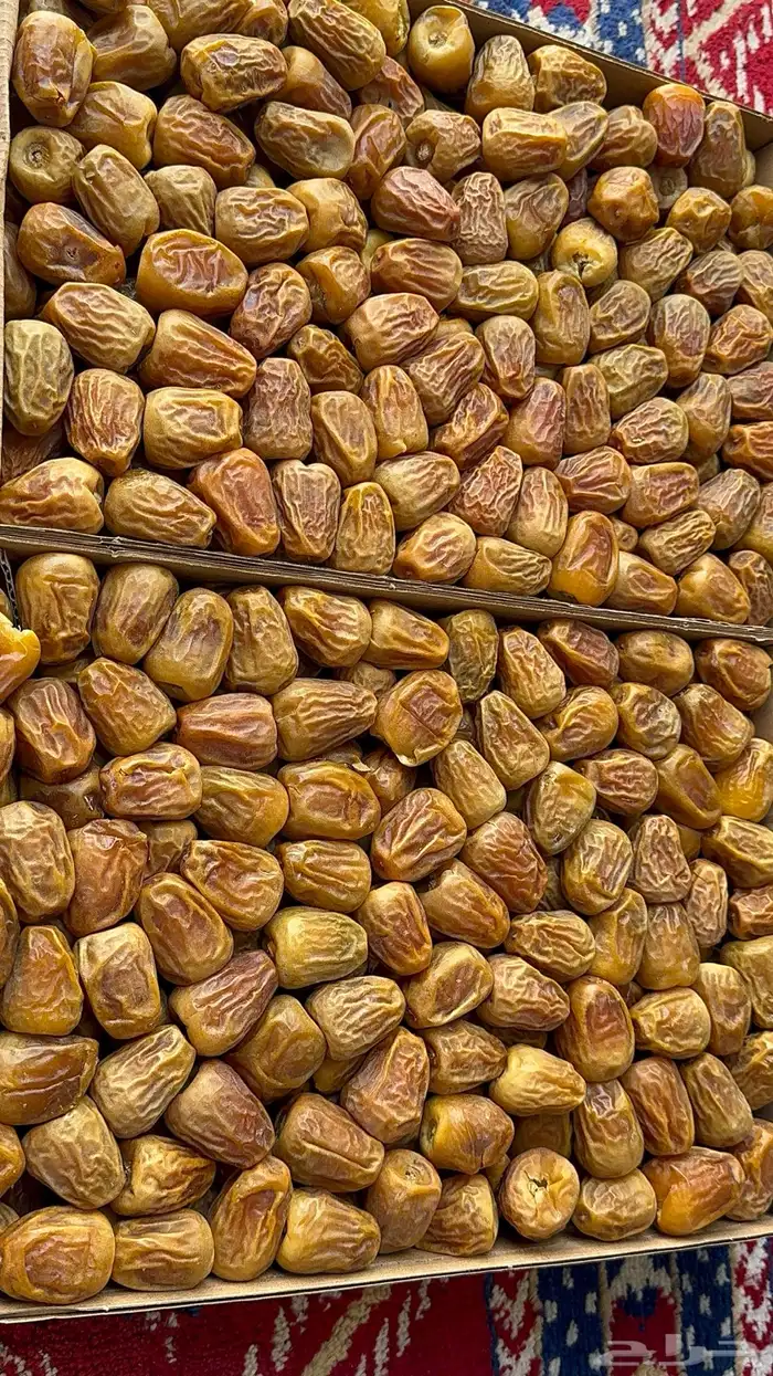 تمر سكري مفتل حبه طيبه وخراف جديد 1