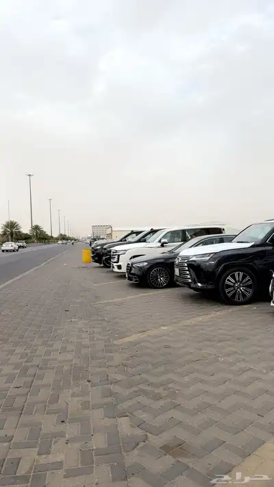 شركه مراكب العز لتاجير السيارات الفارهه 0