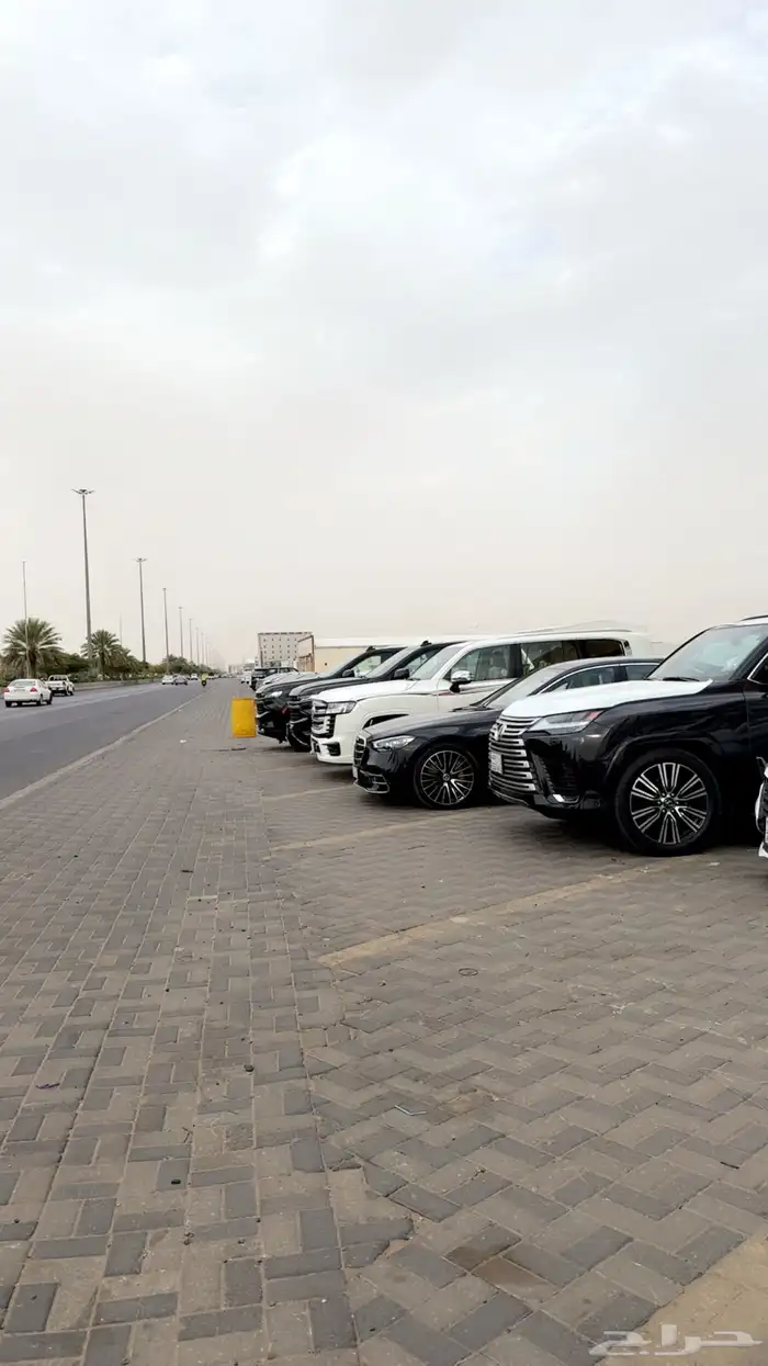 شركه مراكب العز لتاجير السيارات الفارهه 0