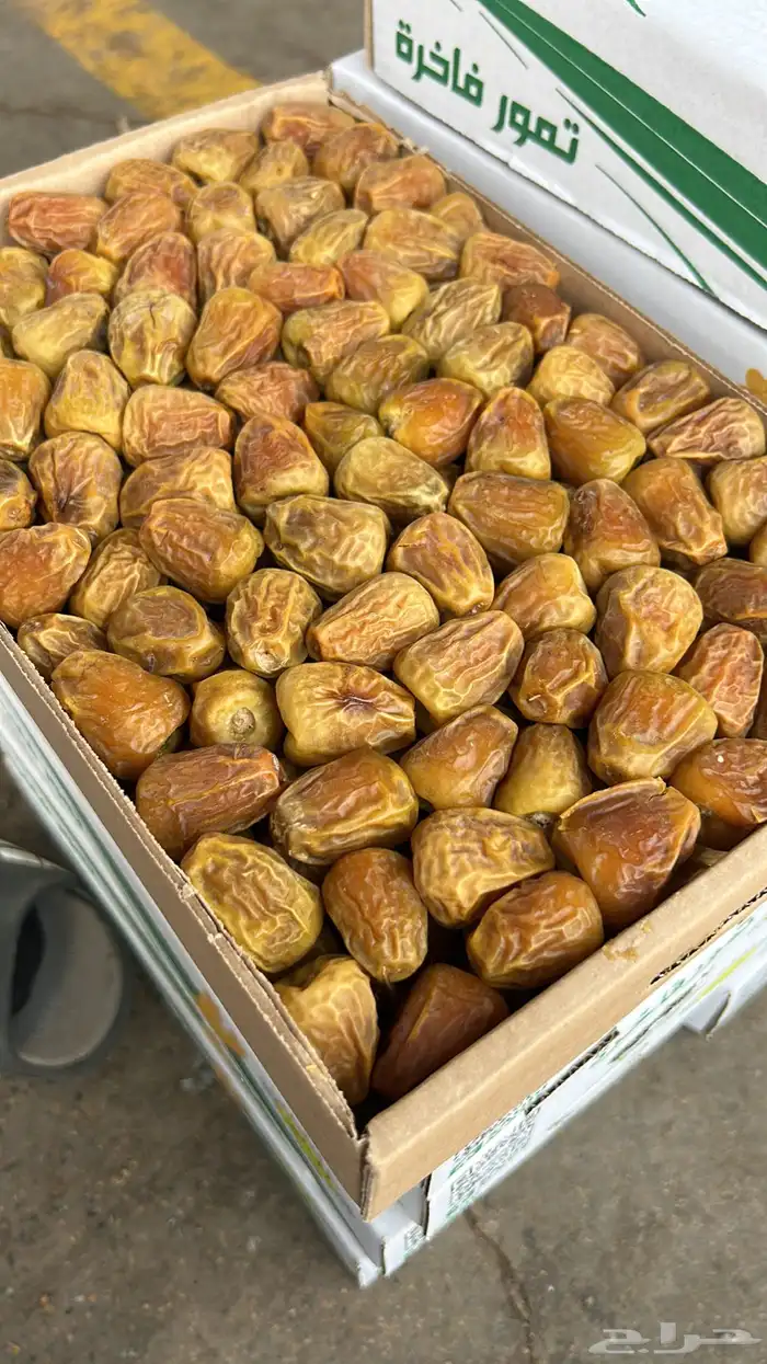 تمر سكري 2