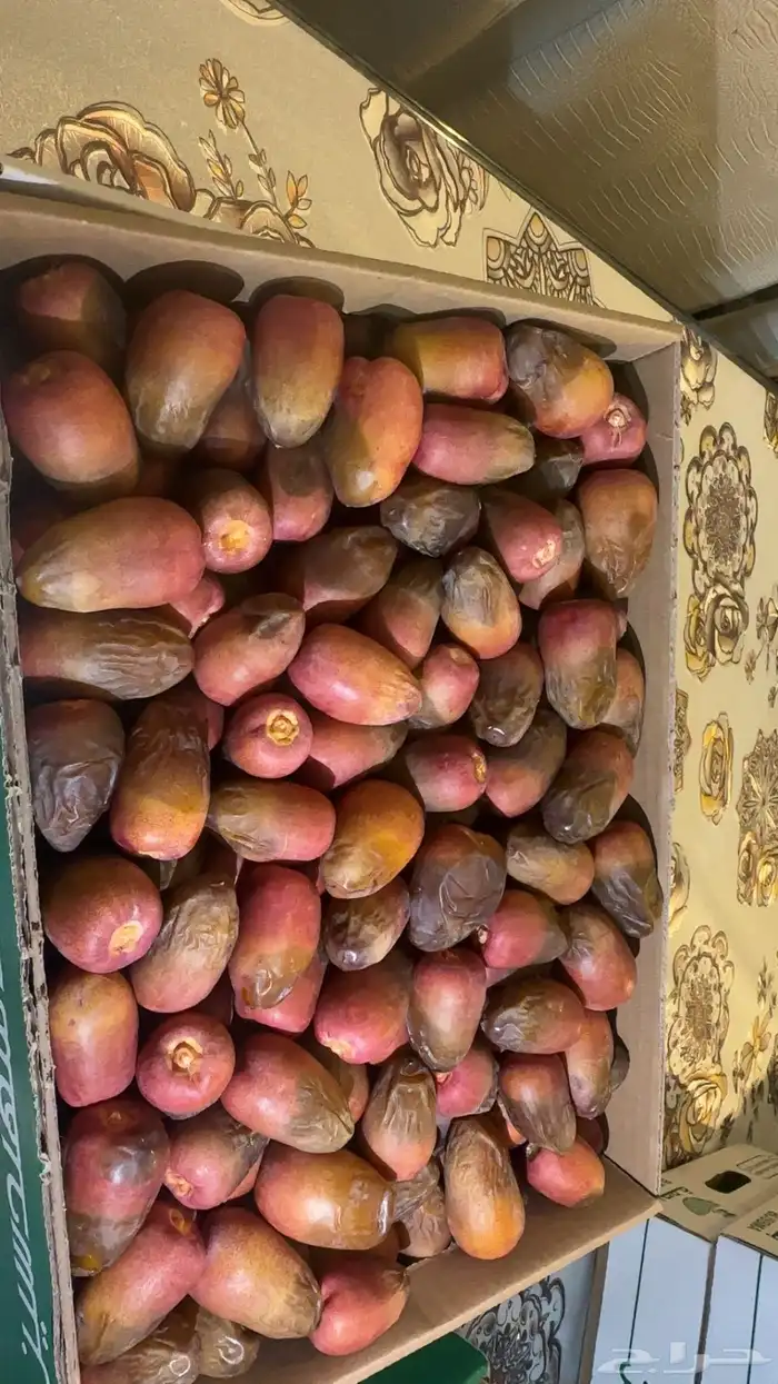 سكري للبيع 5