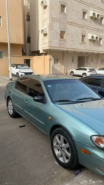 مكسيما 2003 13