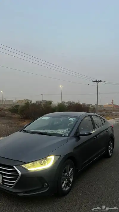 النترا 2017 نص فل 12