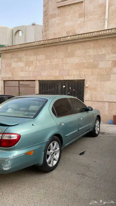 مكسيما 2003 12