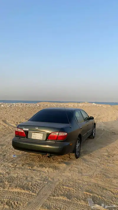 مكسيما 2004 1