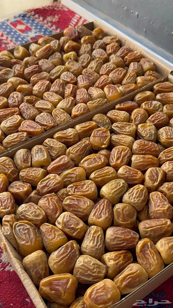 تمر سكري مفتل حبه طيبه وخراف جديد 4
