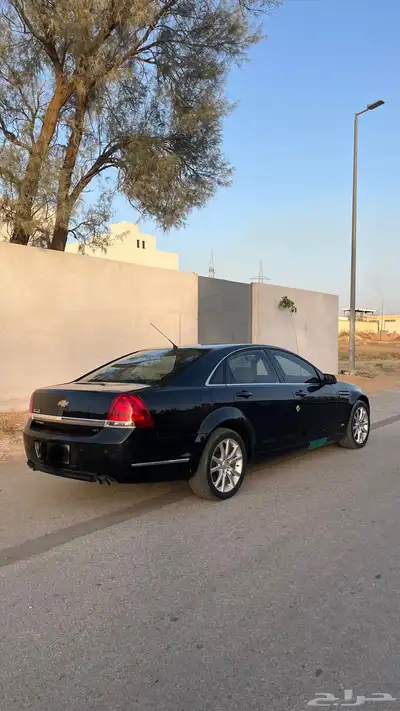 كابرس 2012 1