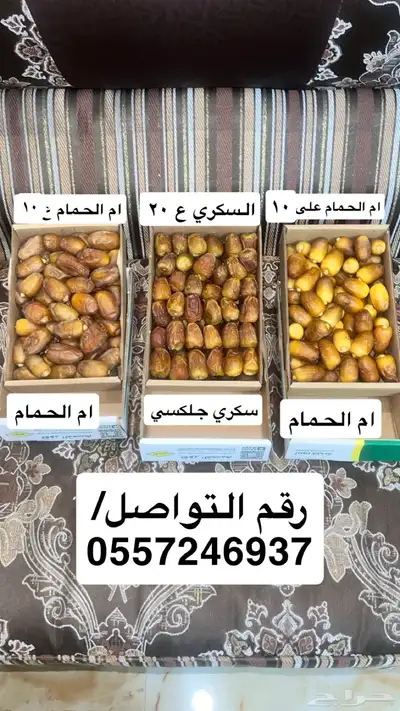 تمر سكري و ام كوير 0