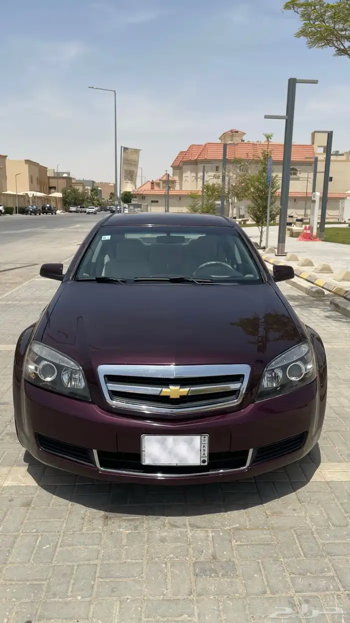كابرس 15 عنابي 1