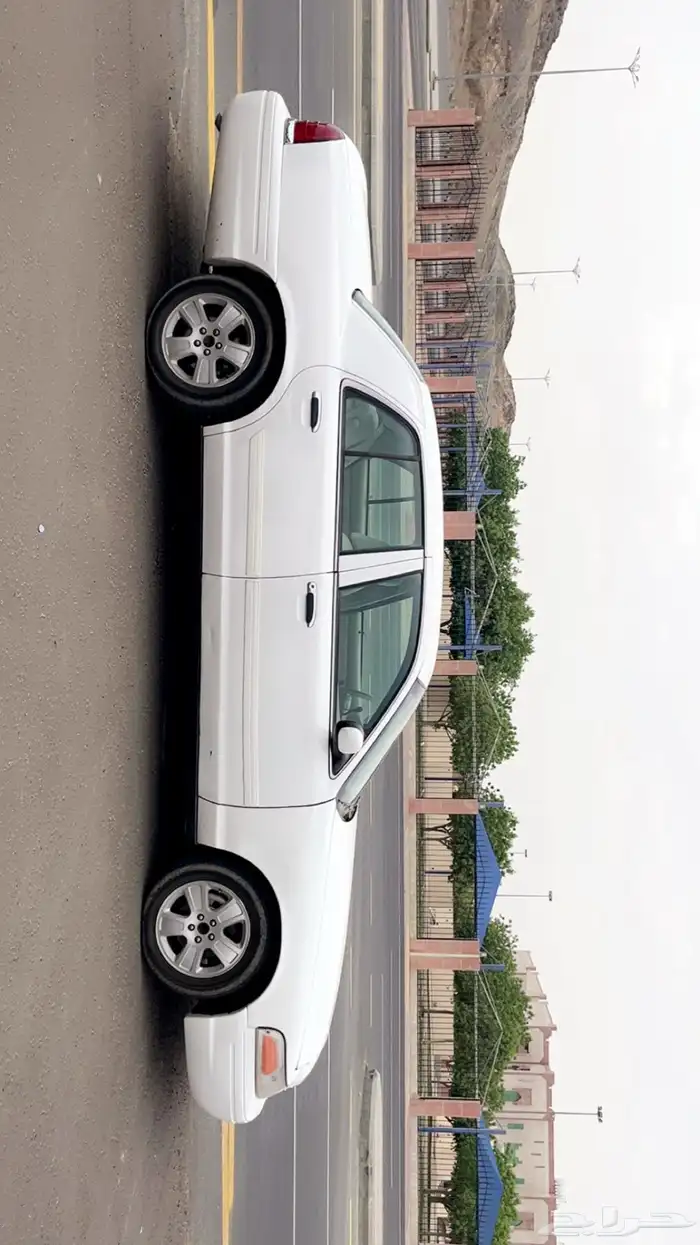فوود سعودي 2010 2