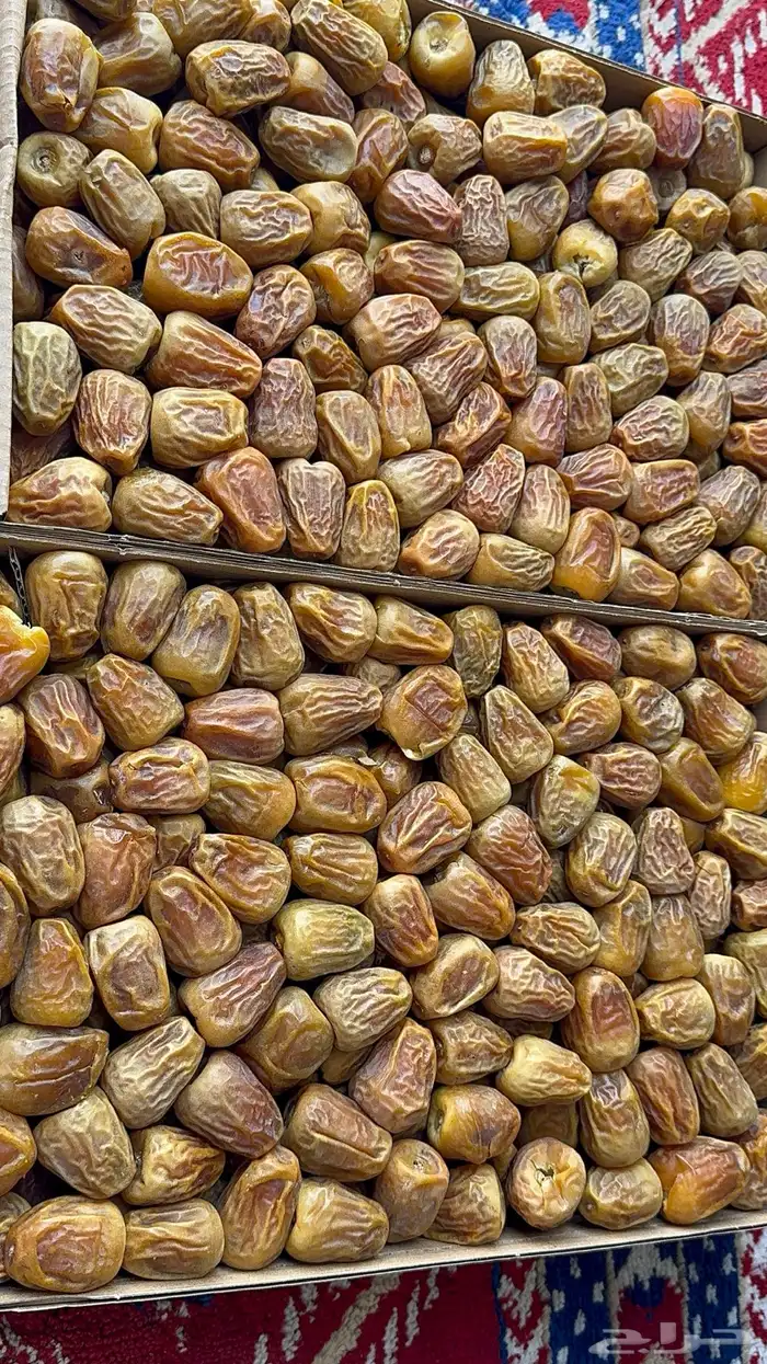 تمر سكري مفتل حبه طيبه وخراف جديد 2