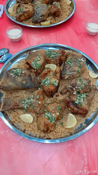 سلمون وهامور 1