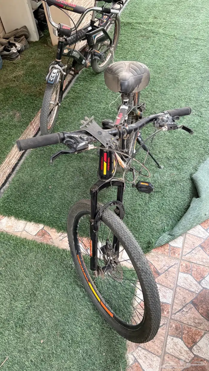 سيكل رياضي 1