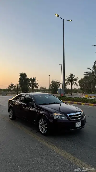 كابرس 2014 عنابي 4