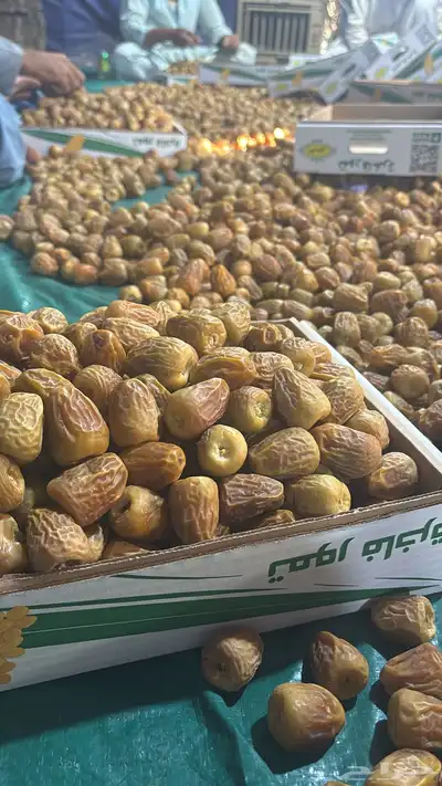 تمر سكري 3