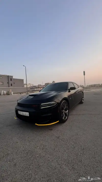 دوج تشاجر 2018 15